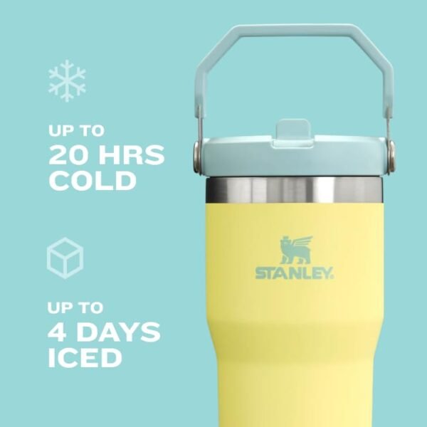 Stanley IceFlow Stainless Steel Tumbler with Straw - Vacuum Insulated Water Bottle for Home, Office or Car Reusable Cup with Straw Leak Resistant... - Image 5